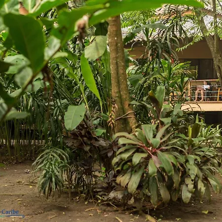Casa Koda Beach Front Cocles Exterior photo