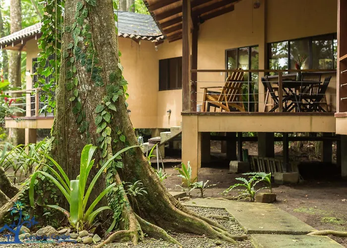 Casa Koda Beach Front
